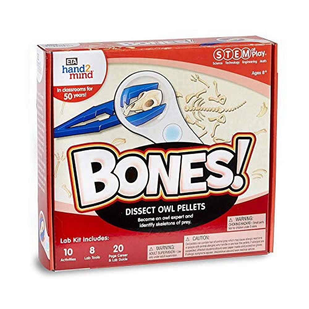hand2mind STEM at Play BONES! Educational Toys Science Models & Kits 0