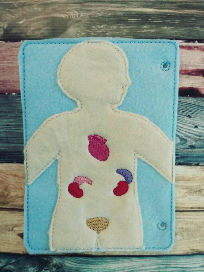 Anatomy board - anatomy quiet book page - 10 organ pieces - learning board - Medical Play Set - human body - busy board - quiet book page