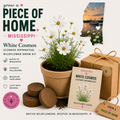 Mississippi White Cosmos Grow Kit